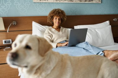 Genç Afrikalı Amerikalı kadın dizüstü bilgisayarda çalışıyor ve bir otel odasında yataktaki Labrador 'a bakıyor.