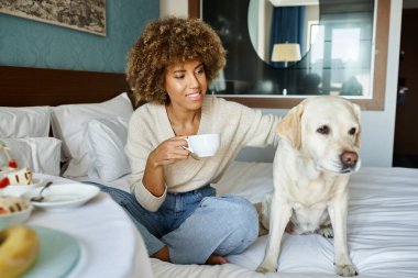 Mutlu Afro-Amerikan kadını elinde kupa tutarken ve labrador köpeğini evcil hayvan dostu otel odasında kucaklarken.