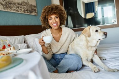 Neşeli Afrikalı Amerikalı kadın, elinde kupa, kucağında labrador köpeği, evcil hayvan dostu otel odasında