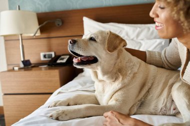 Afro-Amerikan kadın memnun. Yatakta uzanıyor ve labrador köpeğini evcil hayvan dostu otelinde kucaklıyor.