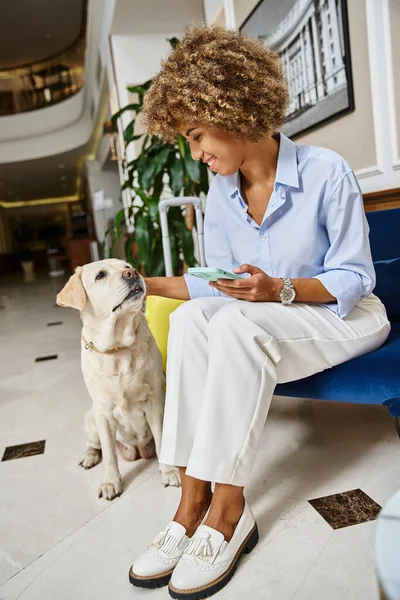 stock image tourist with phone cuddling dog in pet-friendly hotel, labrador and happy african american woman