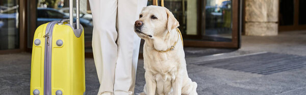 banner of african american woman with labrador and suitcase standing outside pet-friendly hotel