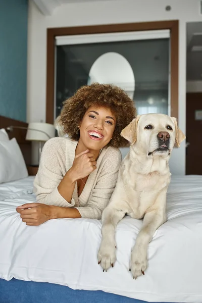 stock image cheerful african american woman with her labrador lying on a bed in a pet-friendly hotel, travel