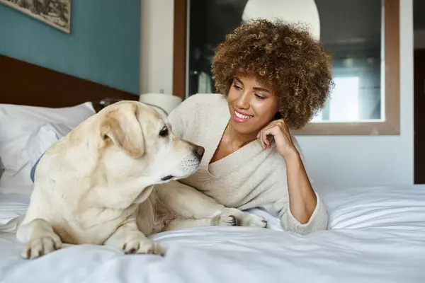 stock image cheerful african american woman lying on bed and cuddling her labrador dog in pet friendly hotel