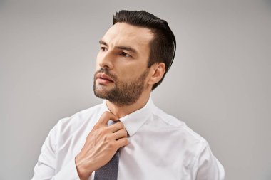 portrait of handsome businessman in white shirt adjusting tie on grey background, elegant attire clipart