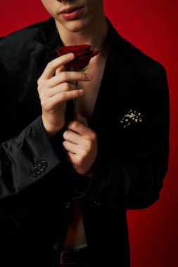 Kırmızı arka planda gül tutan kadife ceketli romantik bir genç adamın kırpılmış fotoğrafı, flört.