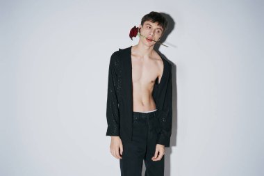 Siyah gömlekli ve kot pantolonlu genç adam gri arka planda gülle poz veriyor, romantizm