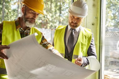 handsome bearded businessman and cottage builder with safety gear working with blueprint on site clipart