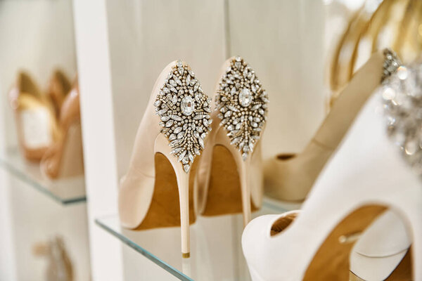A vibrant row of assorted shoes resting on a shelf.