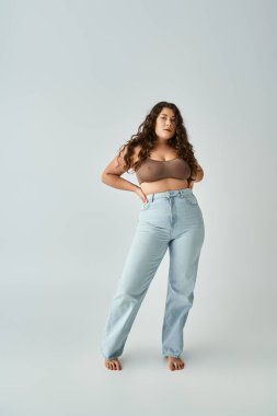 lovely curvy girl in brown bra and blue jeans posing with hands in pockets on grey background clipart