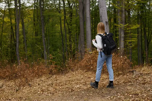 ブロンドの女性冒険家が森の中を歩いて新しい道を発見するバックビュー — ストック写真