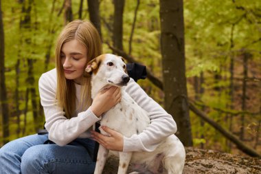 Sarışın bir kaşifin köpeğine sarılıp evcil hayvanının rahatlığıyla ilgilendiği yumuşak orman sahnesi.
