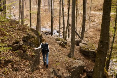 Orman nehrinin yanındaki ağaçları tutan sırt çantalı genç sarışın gezginin arka görüntüsü.