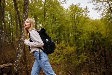 Side view of woman tourist with backpack walking at footpath in woodland hiking at autumn forest clipart