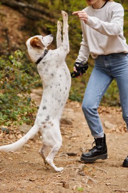 Ormanda yürüyüş yaparken kırpılmış genç bir kızla antrenman yaparken tatlı bir köpeğin ikram istediği fotoğraf.