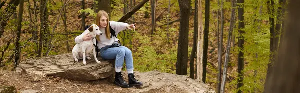 彼女の好奇心の犬を示すデビッドブロンドの冒険家 森に岩の上に座っている方向 バナー — ストック写真