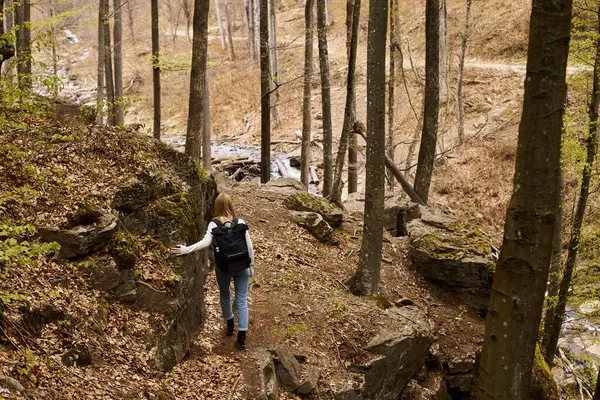 森の川の近くに木を保持するバックパックを身に着けている若い金髪の女性の旅行者のバックビュー — ストック写真