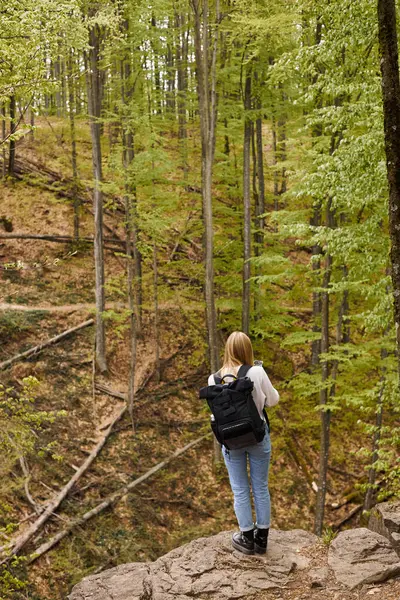 远足时背着背包 带着电话在岩石悬崖上行走的好奇金发女人的背影 — 图库照片