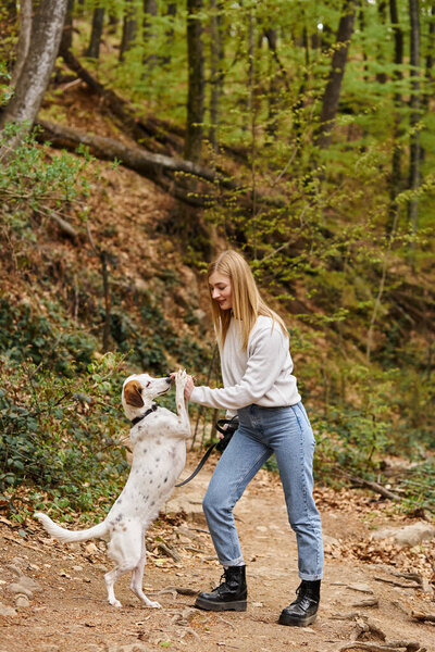 Веселая женщина тренирует свою домашнюю собаку держать на поводке во время пешеходного отдыха с видом на горы и лес
