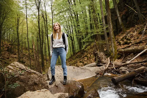 背着背包徒步旅行站在森林里的山河岩石上的女人 单身女性游客 — 图库照片
