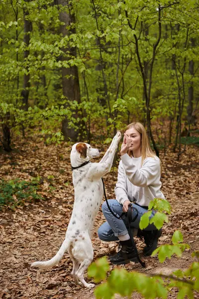 Donna Escursionista Sorridente Con Suo Cane Allenamento Animale Domestico Durante — Foto Stock