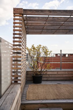Huzurlu bir balkon. Yerde dinlenen bir saksı var. Güneşin altında güneşleniyor.