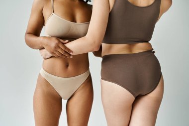 Two diverse women pose side by side in cozy pastel underwear. clipart