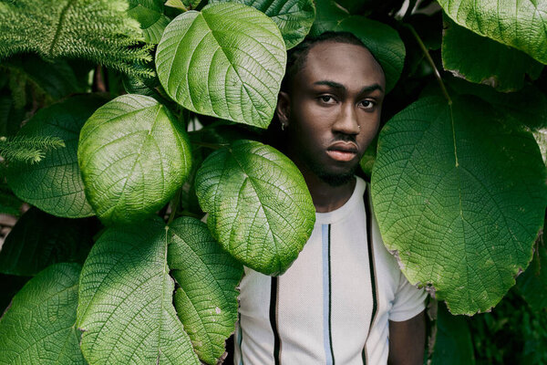 Афроамериканец со сложным стилем, стоящий среди ярких зеленых листьев.