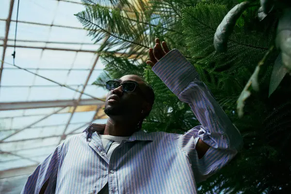 Homme Afro Américain Sophistiqué Pose Devant Palmier Luxuriant — Photo
