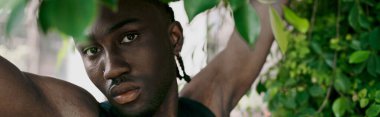 Gri saçlı yakışıklı Afrikalı Amerikalı adam yeşil bir bahçedeki yemyeşil bir ağacın önünde poz veriyor..