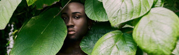 Handsome man in dapper style hidden behind lush green leaves.