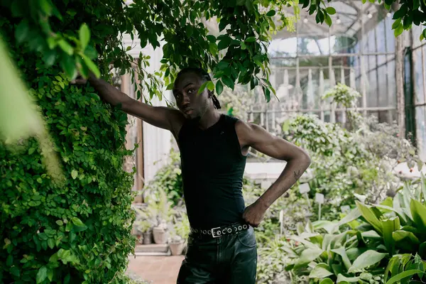 一个英俊的非洲裔美国人 衣冠楚楚 站在茂密的绿林旁 — 图库照片