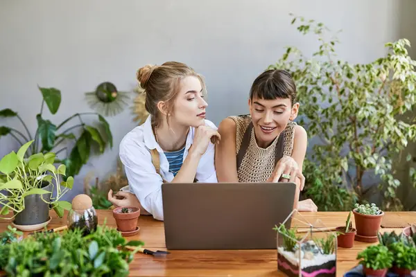 stock image Two women, a loving lesbian couple, sit at a table, absorbed in a laptop screen at an art studio.