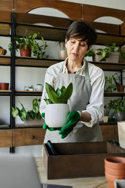 stock image A gardener tends to her plants while enjoying her creative space.