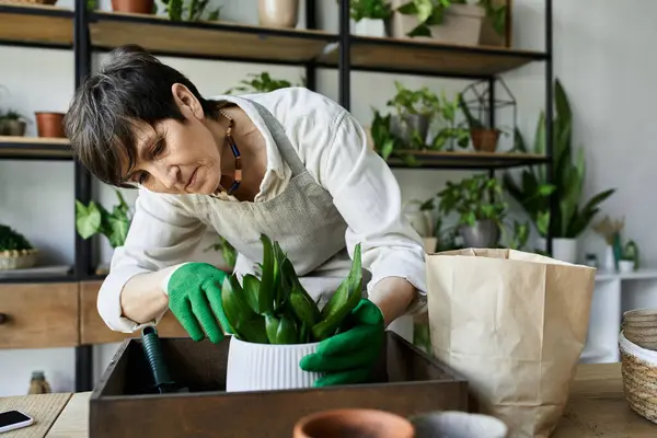 stock image A gardener lovingly arranges her beloved plants in a bright studio.