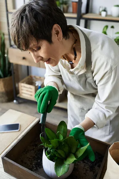 stock image A gardener lovingly cares for her plants while enjoying creative time in her studio.