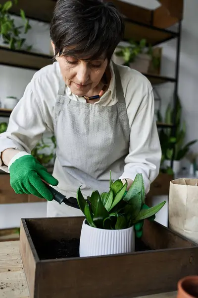 stock image A dedicated gardener tends to her beloved plants with care.