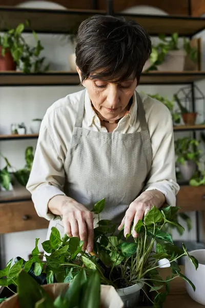 stock image A woman lovingly tends to her thriving plants in a bright studio.