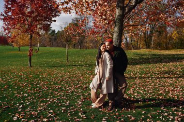 A couple shares a loving moment surrounded by vibrant autumn foliage. clipart