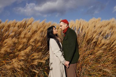 A loving couple stands close, wearing warm autumn outfits, surrounded by tall golden grasses. clipart