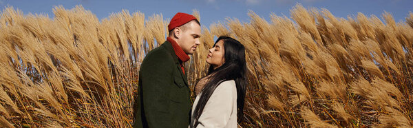 A couple in cozy attire enjoys an intimate moment among tall golden grasses on an autumn day.