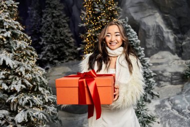 Neşeli bir insan güzel paketlenmiş bir hediyeyi karlı bir tatil ortamında tutar..