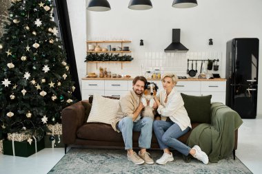 Köpekleri ile kanepede sarılıp tatil neşesine sarmalanmış bir çift..