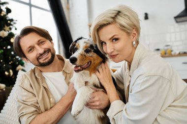 Bir çift, sevgi dolu sıcak, davetkar bir oturma odasında köpekleriyle oynuyorlar..