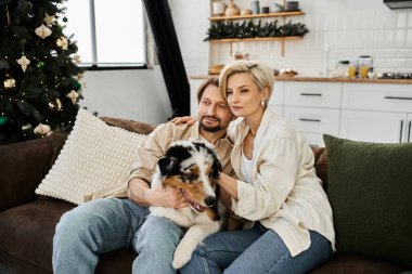 Bir çift, tatil süslemeleriyle çevrili olarak koltuklarında dinlenir ve köpeklerine sarılırlar..