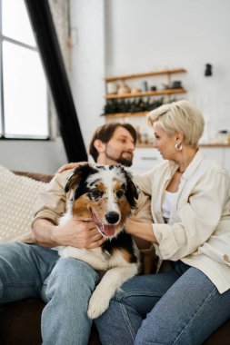 Bir çift, köpekleriyle birlikte kanepede oturur ve evlerinde sevgi dolu anları paylaşırlar..