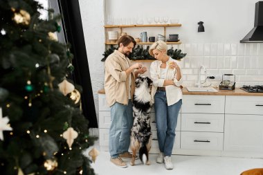 Sıcak ve davetkar bir tatil ortamında heyecanlı köpekleriyle oynarken birkaç gülümseme..