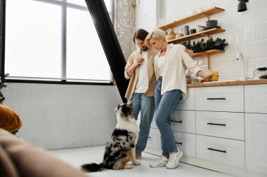 Bir çift evde hassas bir anı paylaşırken köpekleri tuhaf bir şekilde mutfakta izliyor..