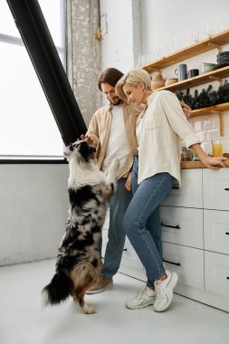 Bir çift sıcak, davetkar bir mutfak alanında neşeli köpekleriyle hassas bir anı paylaşıyor..