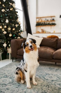 A cheerful dog relaxes on a plush rug near a stylish couch adorned with holiday decorations. clipart